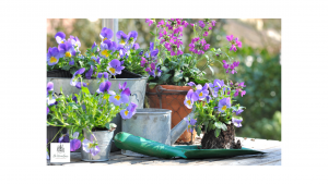 Zinken tuindecoratie met paarse violen