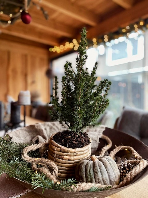 Mini kerstboom met touw met met lichtjes in schaal tuintafel onder overkapping 