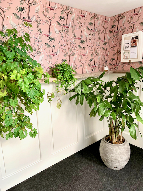 Lambrisering hal met roze behang erboven grote plant in pot tapijt gang