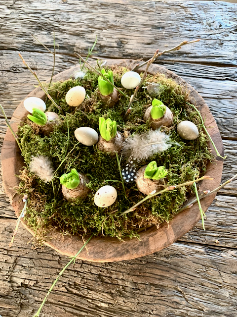 Houten landelijke schaal mos bloembollen en decoratie paas eieren 