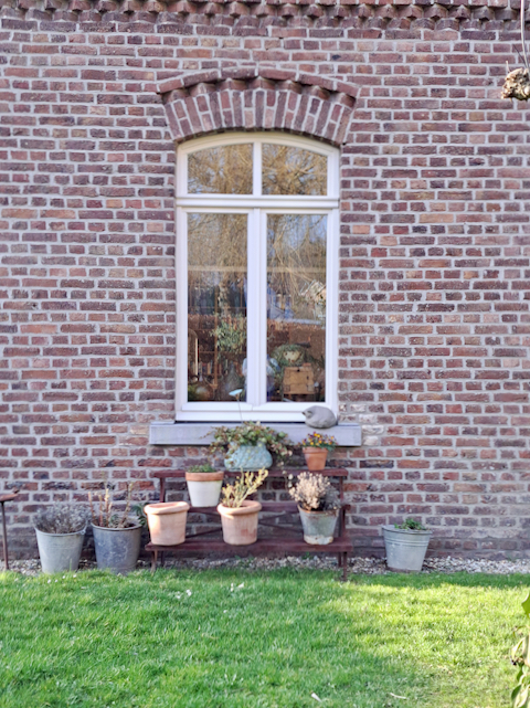 Planten etagere zinken emmers met planten stenen poes vensterbank