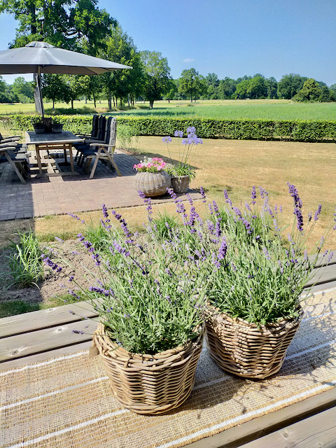 rotan mand met lavendel zweefparasol tuinset landelijke tuin
