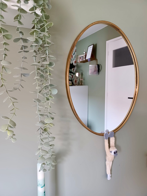 Spiegel met gouden rand hangplant 