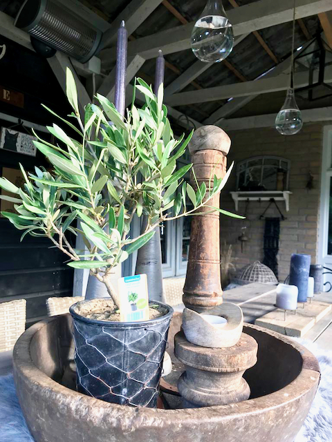 Olijfboompje in pot in houten schaal houten kandelaars tuin tafel decoratie landelijk