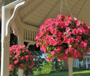 Hanging basket roze
